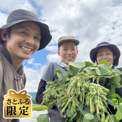 【さとふる限定】はたけや農場の枝豆 計1.5kg 栽培期間中農薬化学肥料不使用