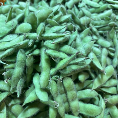 【さとふる限定】はたけや農場の枝豆 計1.5kg 栽培期間中農薬化学肥料不使用