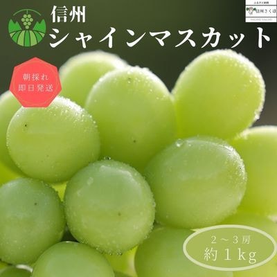 シャインマスカット　約1kg(2～3房)