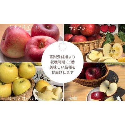 【期間限定】農家にお任せ!旬のリンゴ　詰め合わせ　5kg箱