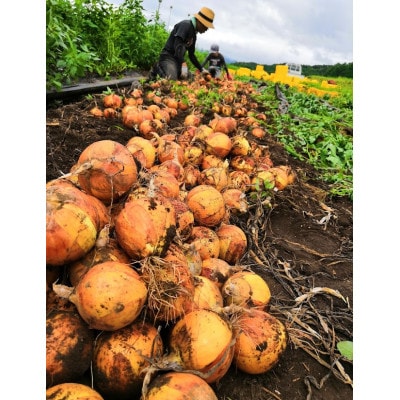 いそベジ農場　季節の野菜詰め合わせセット