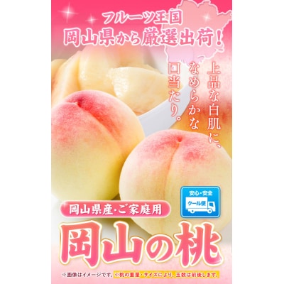 【2027年発送】岡山の桃 約1.3kg《2027年6月下旬~8月下旬頃発送》