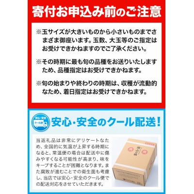 【2027年発送】岡山の桃 約1.3kg《2027年6月下旬~8月下旬頃発送》