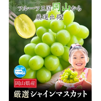 厳選 シャインマスカット 約1.3kg 《9月上旬-11月中旬頃出荷》