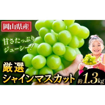 【2026年先行予約】厳選 シャインマスカット 約1.3kg 《2026年9月上旬-11月中旬出荷》