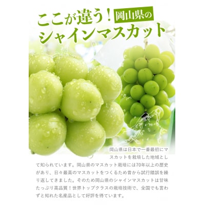 厳選 シャインマスカット 約1.3kg 《9月上旬-11月中旬頃出荷》