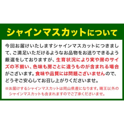 【2026年先行予約】厳選 シャインマスカット 約1.3kg 《2026年9月上旬-11月中旬出荷》
