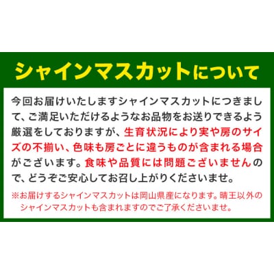 【2026年先行予約】厳選 シャインマスカット 約1.3kg 《2026年9月上旬-11月中旬出荷》