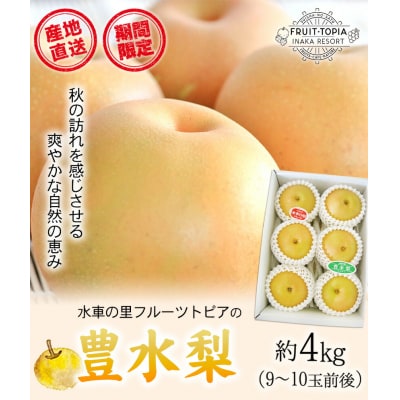 産地直送 豊水梨 約4kg (9~10玉前後)《9月上旬-10月上旬頃出荷》