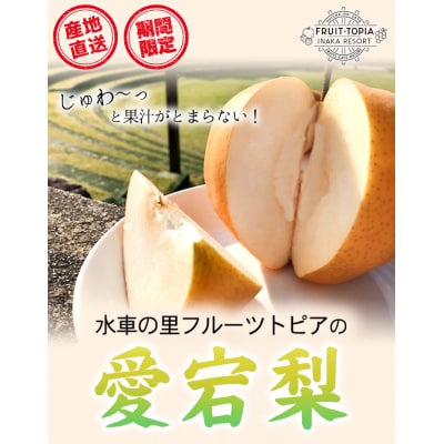 産地直送 愛宕梨 約4kg4~6玉前後《12月上旬-2月上旬頃出荷》