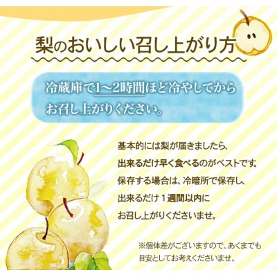 産地直送 愛宕梨 約4kg4~6玉前後《12月上旬-2月上旬頃出荷》