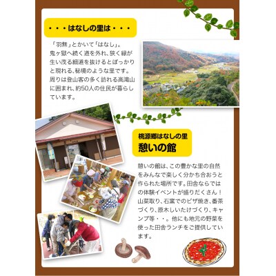 原木しいたけづくり体験チケット(昼食付) 1名様《30日以内に出荷予定(土日祝除く)》