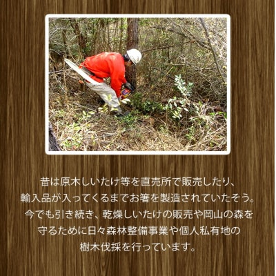 やかげの「原木乾燥しいたけ」300g 岡山県矢掛産《30日以内に出荷予定(土日祝除く)》
