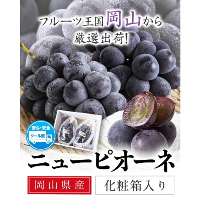 岡山県産 ニューピオーネ 約600g 1房 秀品 《8月下旬〜10月中旬頃に出荷予定(土日祝除く)》