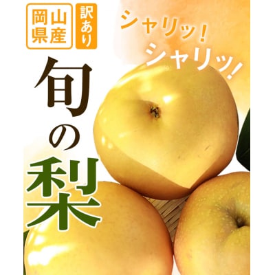 訳あり 旬の梨 約4kg 3～10玉前後 岡山県産 訳あり《9月上旬-1月末頃出荷》