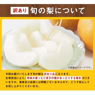 訳あり 旬の梨 約1.8kg2～5玉前後 岡山県産 訳あり《9月上旬-1月末頃出荷》