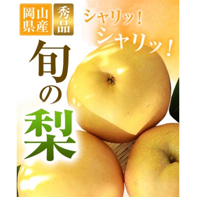 秀品 岡山県産 旬の 梨 約4kg 3～10玉前後 梨《9月上旬-1月末頃出荷》