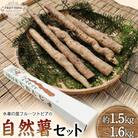 自然薯セット《11月中旬‐12月末頃出荷》