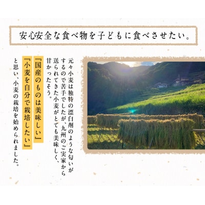 無肥料栽培ササニシキ玄米5kg(5kg×1袋)《30日以内に出荷予定(土日祝除く)》