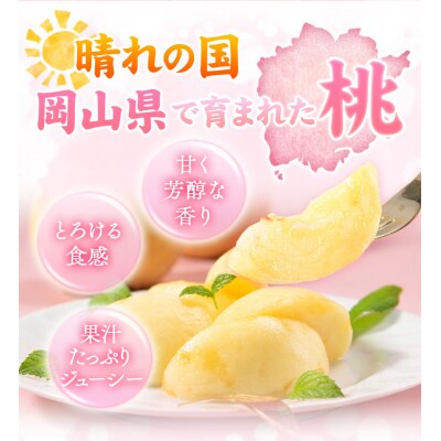 【2026年発送先行予約】 岡山の桃 約1kg《2026年6月下旬-9月上旬頃出荷》