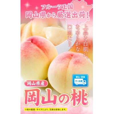 【2027年発送】岡山の桃 約2.6kg《2027年6月下旬~8月下旬頃発送》