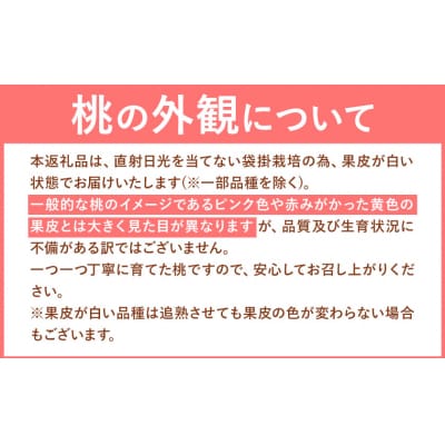 【2026年発送先行予約】 岡山県産 岡山の桃 約2.6kg《2026年6月下旬-9月上旬頃出荷》