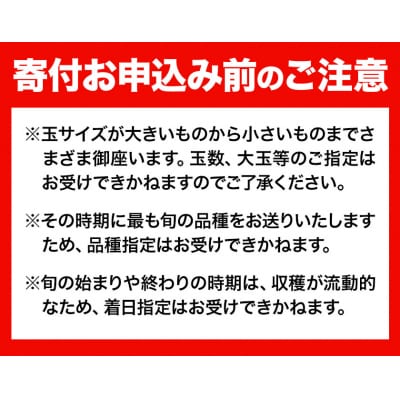 【2026年発送先行予約】 岡山県産 岡山の桃 約2.6kg《2026年6月下旬-9月上旬頃出荷》