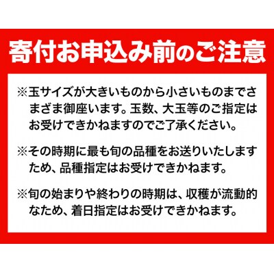 【2027年発送】岡山の桃 約2.6kg《2027年6月下旬~8月下旬頃発送》