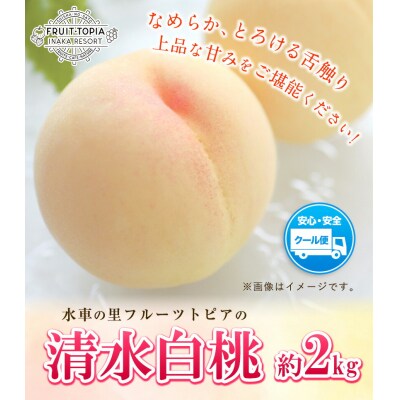 清水白桃 約2kg 水車の里フルーツトピア《7月中旬-8月上旬頃出荷》