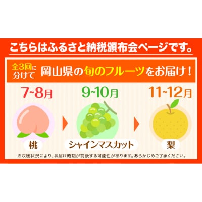 岡山県産 旬のフルーツ定期便 全3回《7月上旬-12月末頃発送》