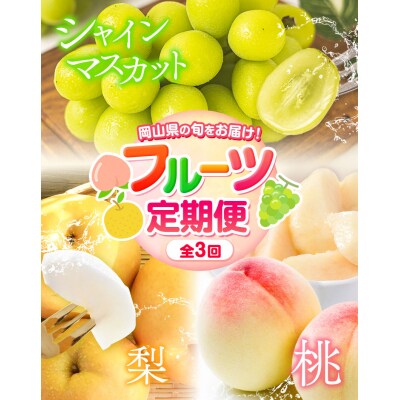 岡山県産 旬のフルーツ定期便 全3回《7月上旬-12月末頃発送》