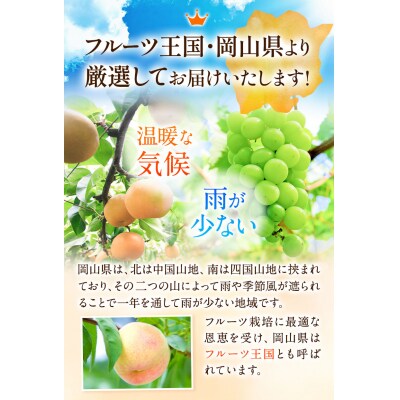 岡山県産 旬のフルーツ定期便 全3回《7月上旬-12月末頃発送》