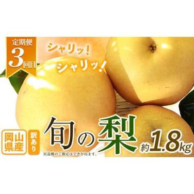 岡山県産 旬のフルーツ定期便 全3回《7月上旬-12月末頃発送》