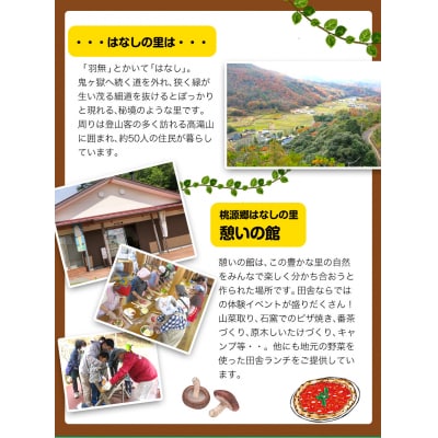 施設利用チケット 3000円 桃源郷はなしの里 岡山県矢掛町《30日以内に出荷予定(土日祝除く)》