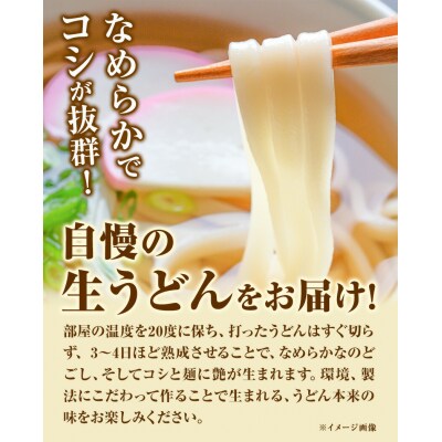 うどんよし野 冷凍 生うどん 8人前《30日以内に出荷予定(土日祝除く)》
