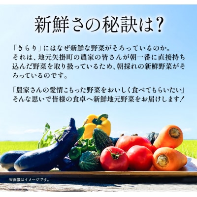 旬の新鮮野菜とお米詰め合わせセット 野菜5～10品目入 青空市きらり《30日以内に出荷予定》