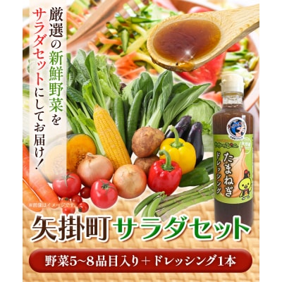 矢掛町サラダセット野菜5～8品目入青空市きらり《4月上旬-10月上旬頃出荷》