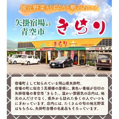 矢掛町サラダセット野菜5～8品目入青空市きらり《4月上旬-10月上旬頃出荷》
