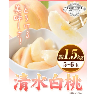 清水白桃約1.5kg(5～6玉)水車の里フルーツトピア《7月下旬-8月中旬頃出荷》