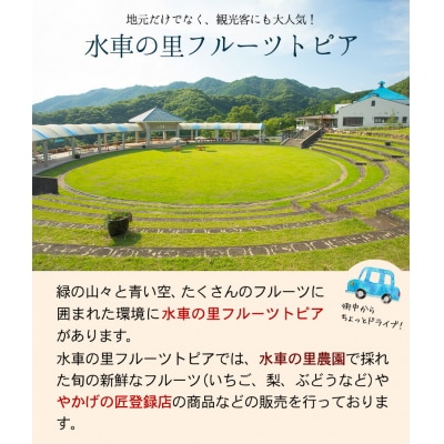 岡山白桃 約2kg 水車の里フルーツトピア《7月上旬-8月下旬頃出荷》