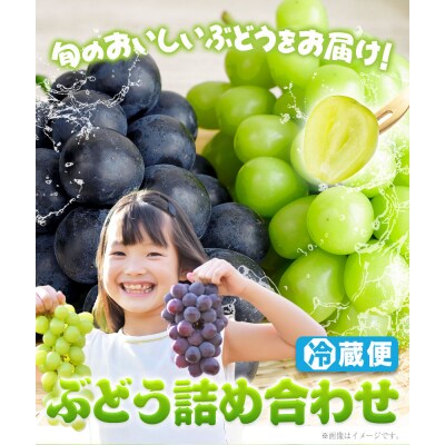 ぶどう 詰め合わせ 約2kg(3~4房) 青空市きらり《9月上旬-11月上旬頃出荷》