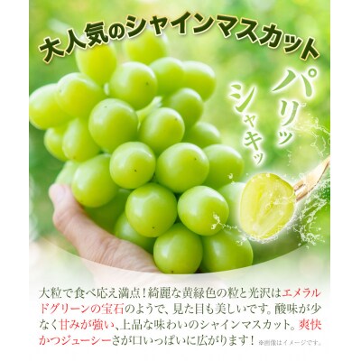 ぶどう 詰め合わせ 約2kg(3~4房) 青空市きらり《9月上旬-11月上旬頃出荷》
