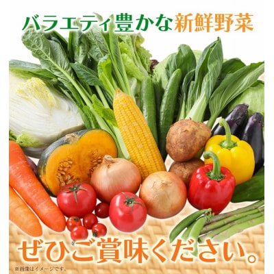 【3ヶ月定期便】旬の新鮮野菜詰合わせセット野菜5～10品目入《お申込み月の翌月から出荷開始》