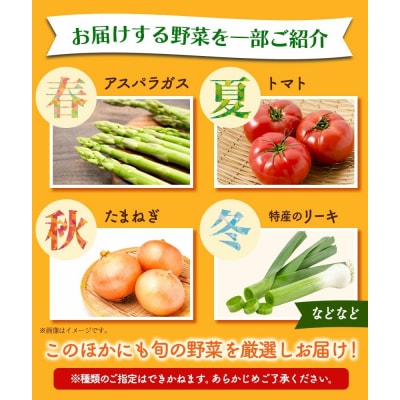 【12ヶ月定期便】旬の新鮮野菜詰合わせセット野菜5～10品目《お申込み月の翌月から出荷開始》