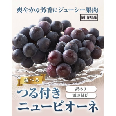 訳ありつる付きニューピオーネ3房530g以上《9月上旬-10月下旬頃出荷》配送不可地域あり