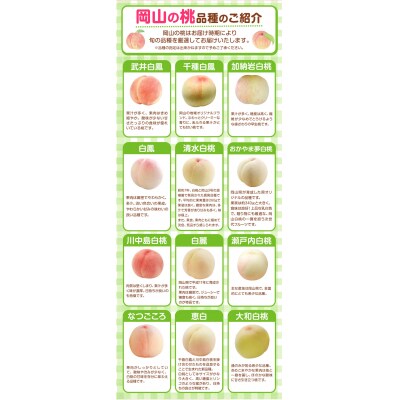 岡山県産岡山白桃7玉(260g以上)【配送不可地域あり】 《7月上旬-8月下旬頃出荷》