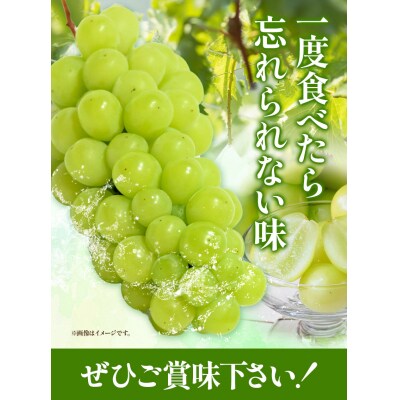 岡山県産マスカット1房(750g以上)【配送不可地域あり】《7月上旬-8月末頃出荷》