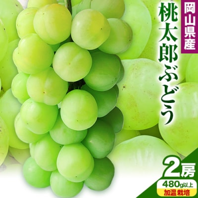 YԂǂ2[480gȏ͔|yzsn悠zs7{-8{oׁt