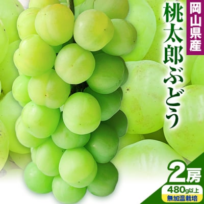 YԂǂ2[480gȏ㖳͔|yzsn悠zs9{-10{oׁt