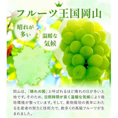 冷蔵シャインマスカット2房530g以上【配送不可地域あり】《11月中旬-12月末頃出荷》